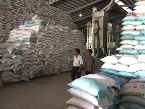 L ASEAN+3 décide de créer des réserves de riz